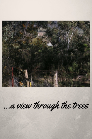 a view through hte trees